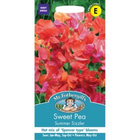 Sweet Pea Summer Sizzler Seeds
